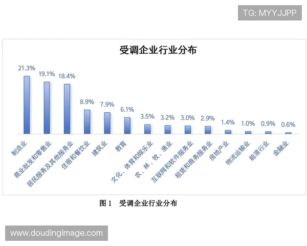 斯普利特定调：问题在执行层面
